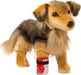 Chief German Shepherd