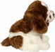 Chip Springer Spaniel
