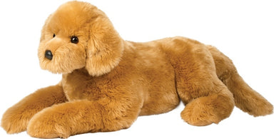 Sherman Golden Retriever, Medium
