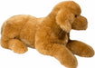 Sherman Golden Retriever, Medium