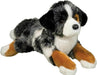 Maizie DLux Australian Shepherd