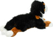 Trooper DLux Bernese Mountain Dog