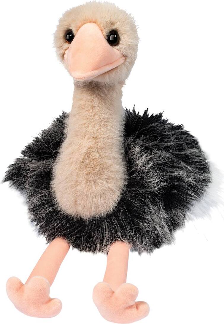 Omar Ostrich
