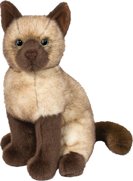 Chai Siamese Cat