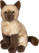Chai Siamese Cat