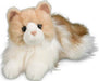 Kiki Ragdoll Cat