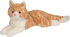 Mango Orange Cat