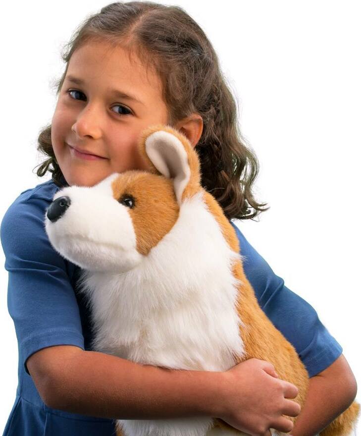 Chadwick Corgi