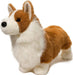 Chadwick Corgi