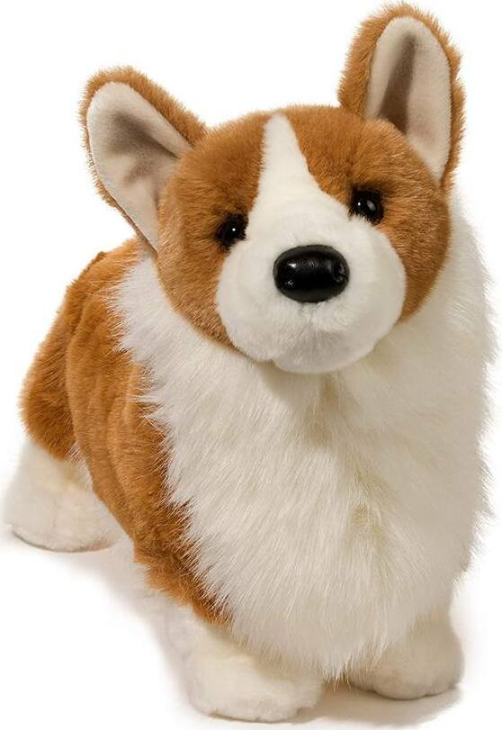 Chadwick Corgi