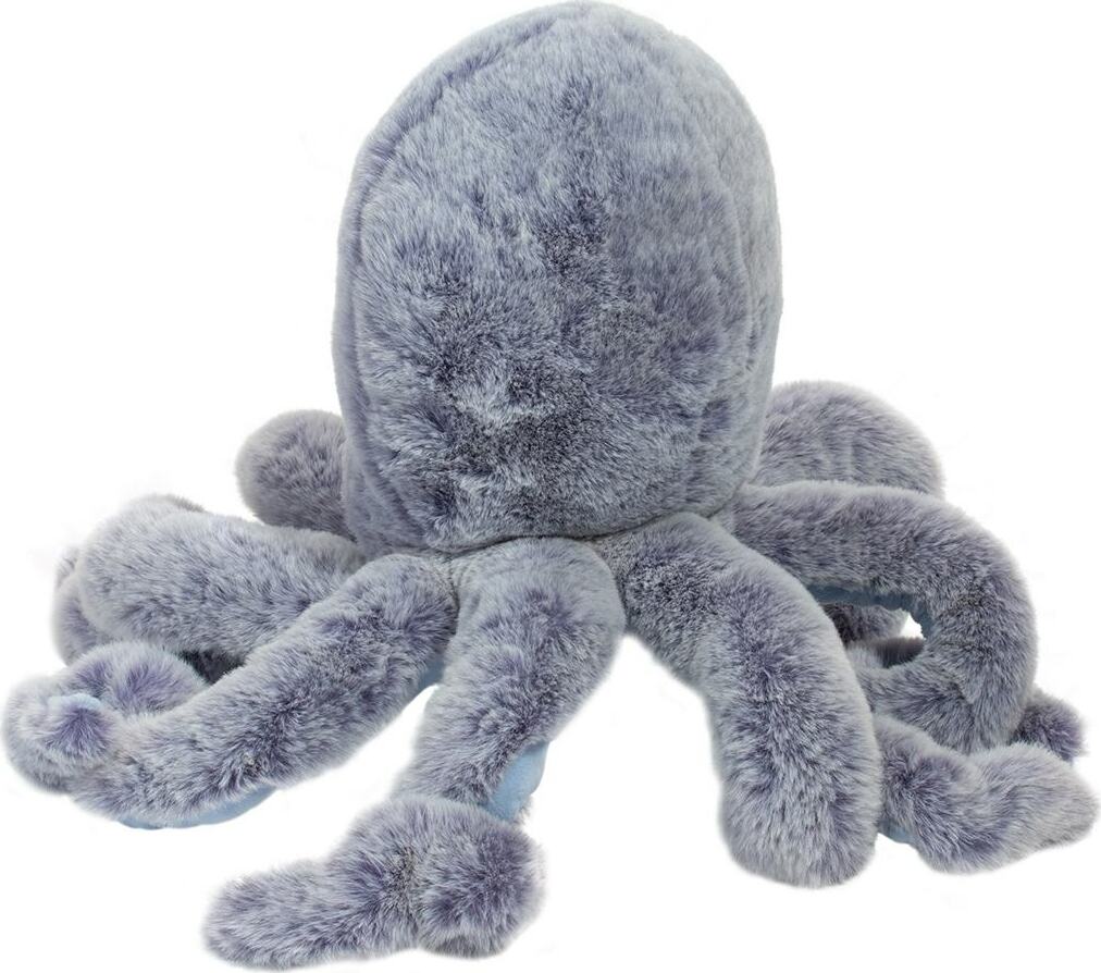 Jamie Octopus