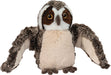 Echo Owl