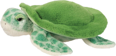 Drift Sea Turtle