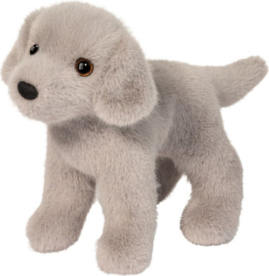 Slate Silver Lab