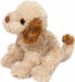 Biscuit Cavapoo