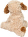 Biscuit Cavapoo