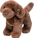 Sylvia Chocolate Lab