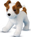 Feisty Jack Russel Terrier