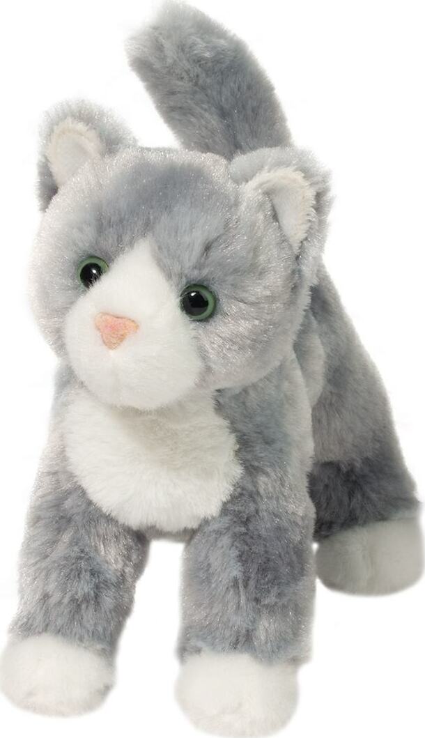 Scatter Gray Cat