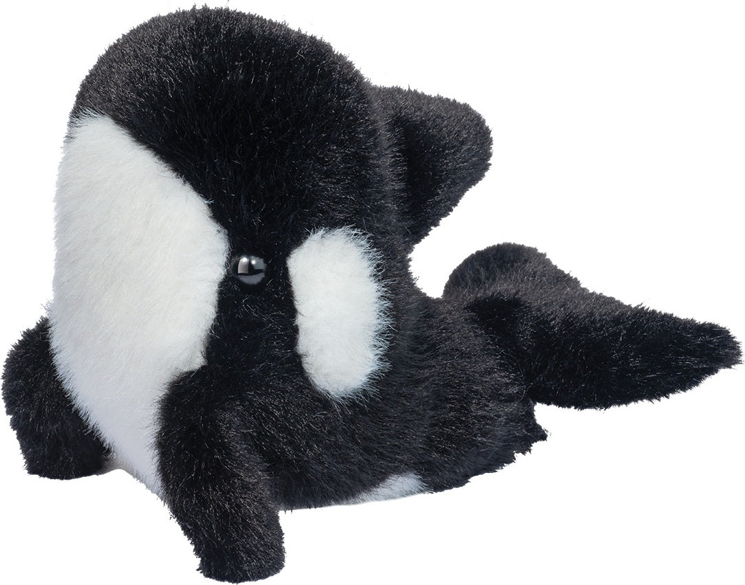 Lil' Baby Orca Whale