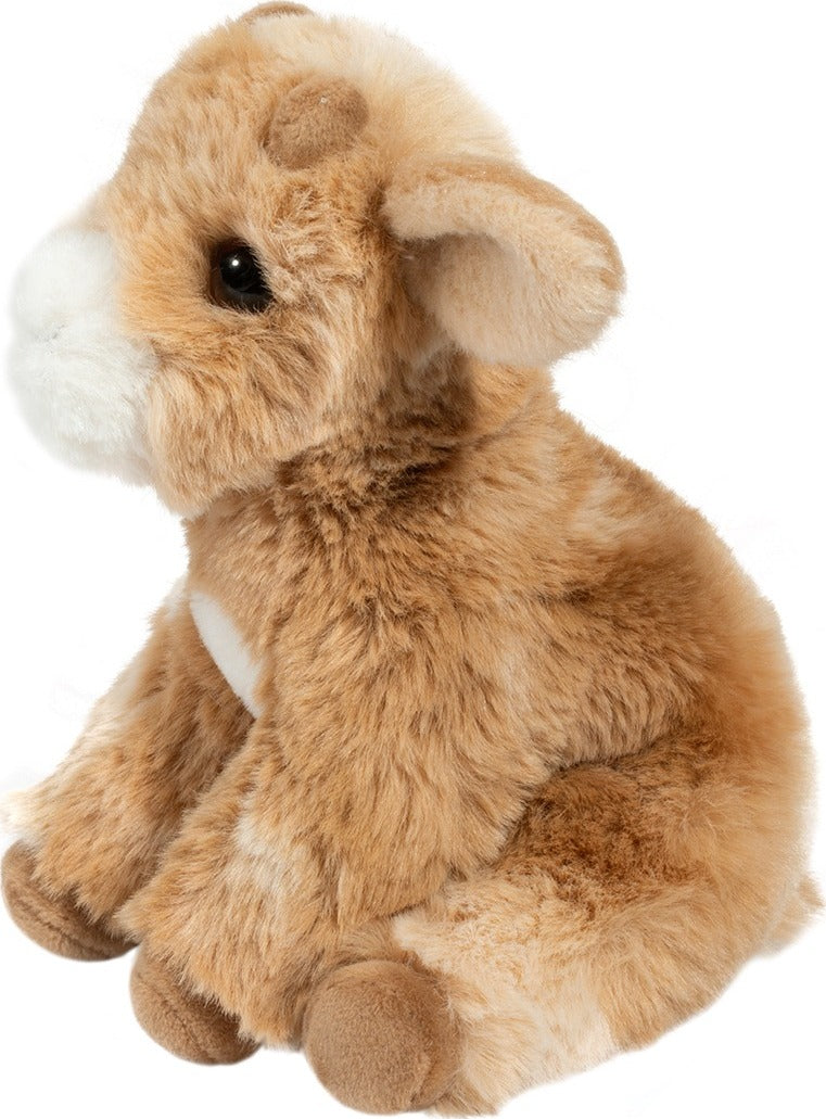 Mini Dandie Soft Goat