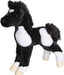 Runner Black & White Paint Foal
