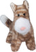 Carol Cat Muzzle