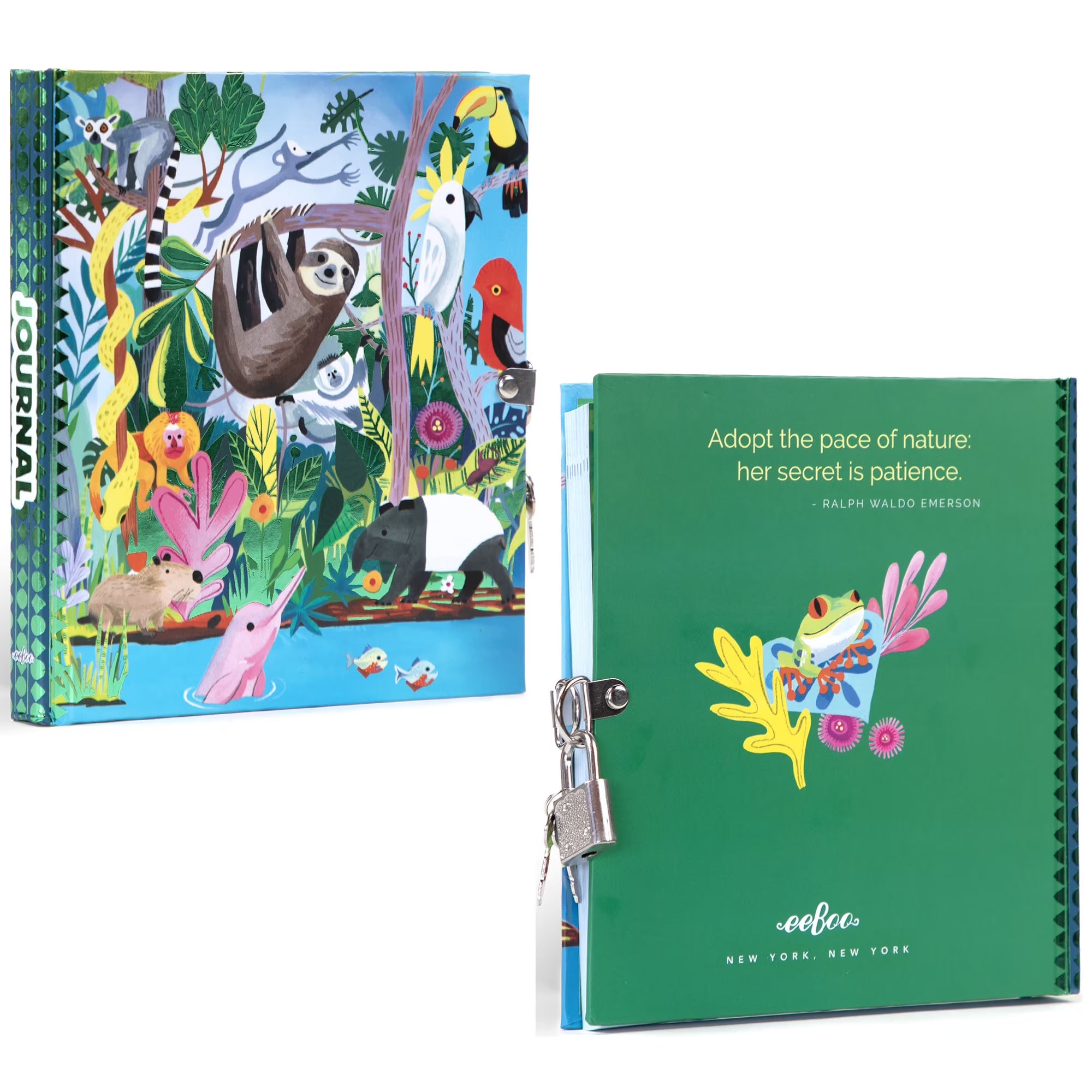 Rainforest Animals Journal
