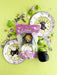 Potion (Poison Apple) KidDough Play Kit