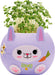Plant A Pet Bunny