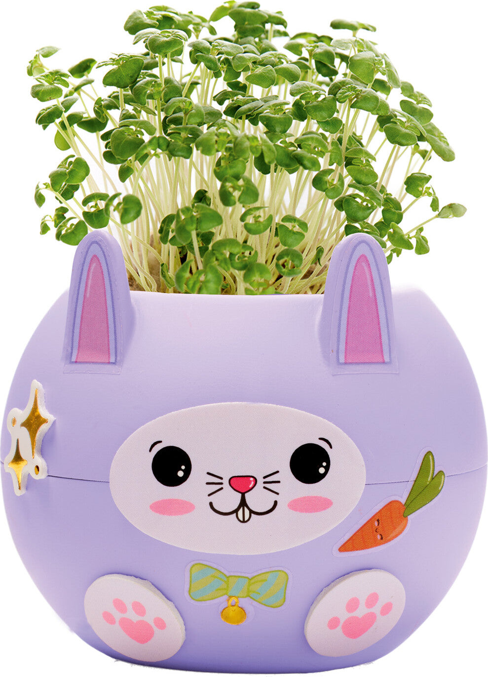 Plant A Pet Bunny