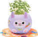Plant A Pet Bunny