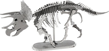 Triceratops Skeleton