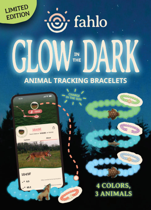 Fahlo Turtle Tracking Bracelet - GLOW IN THE DARK (Sage)