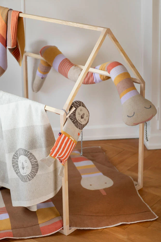 Lion Blanket in A Puppet