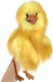 Bird, Funny Hand Puppet