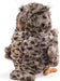 Wise Owl Puppet