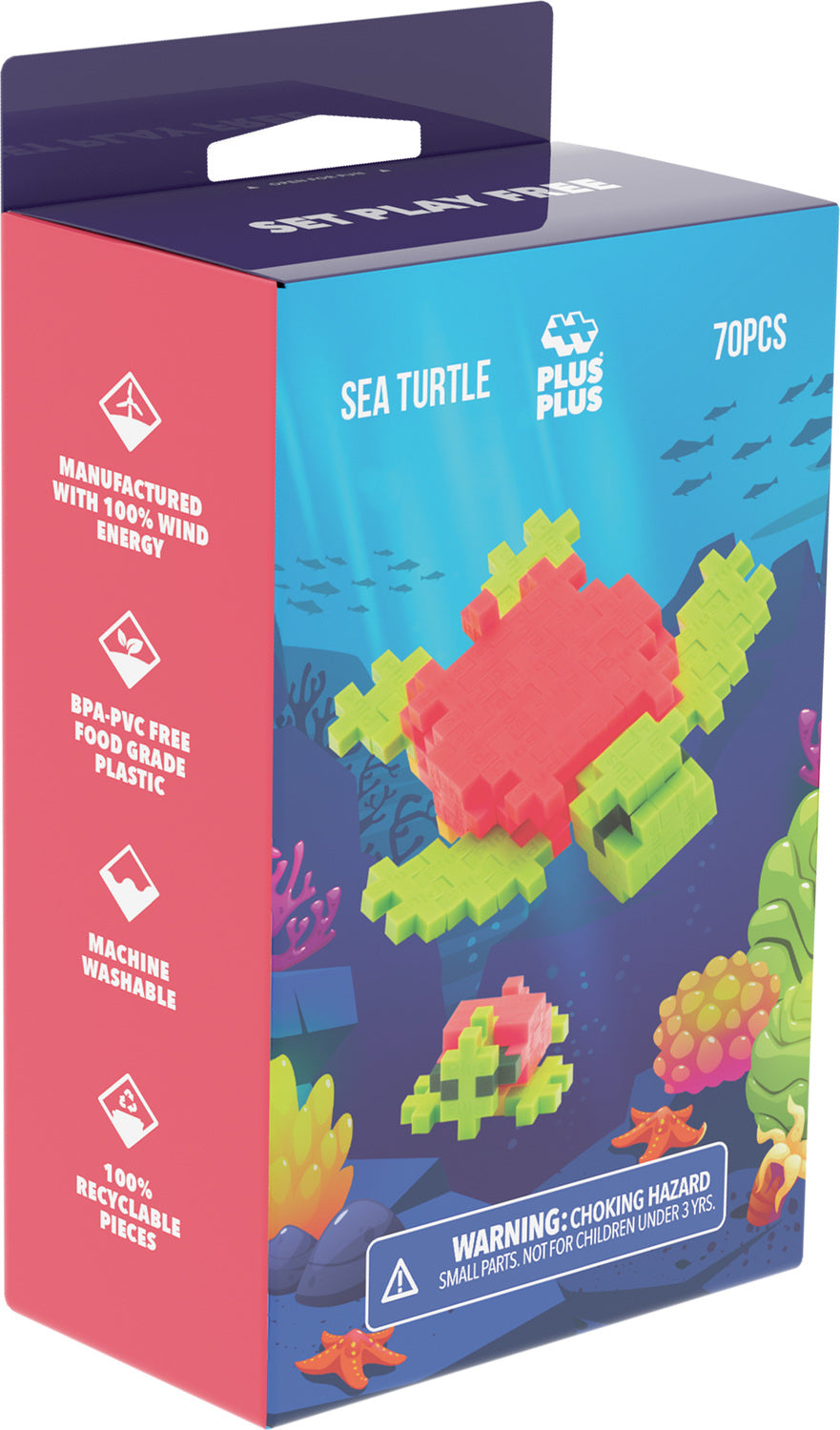 Boxed - Sea Turtle