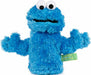 Sesame Street Cookie Monster Hand Puppet, 11 In