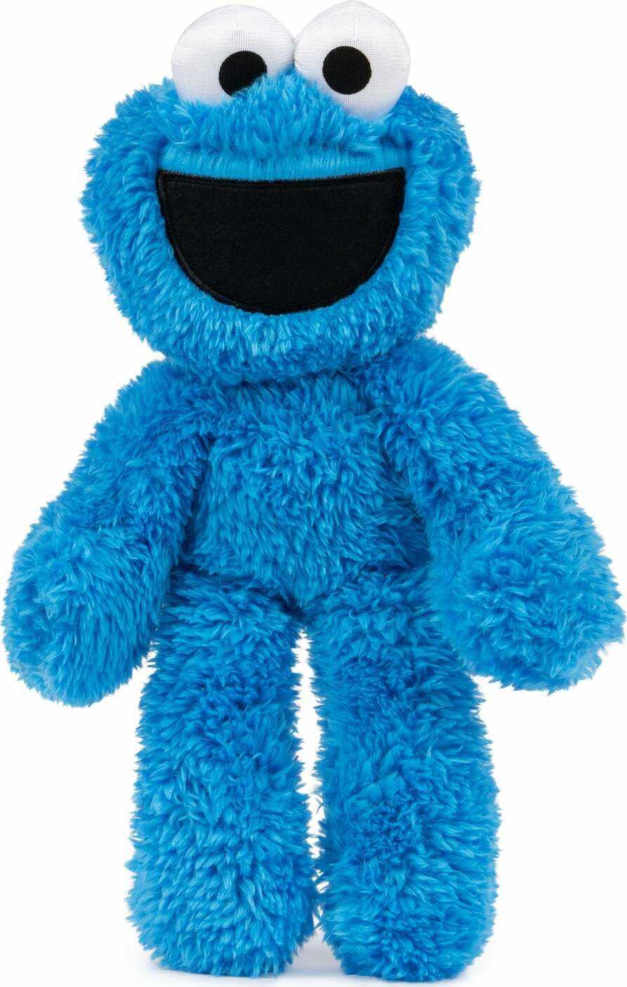 Sesame Street Cookie Monster Take Along Buddy, 13 In