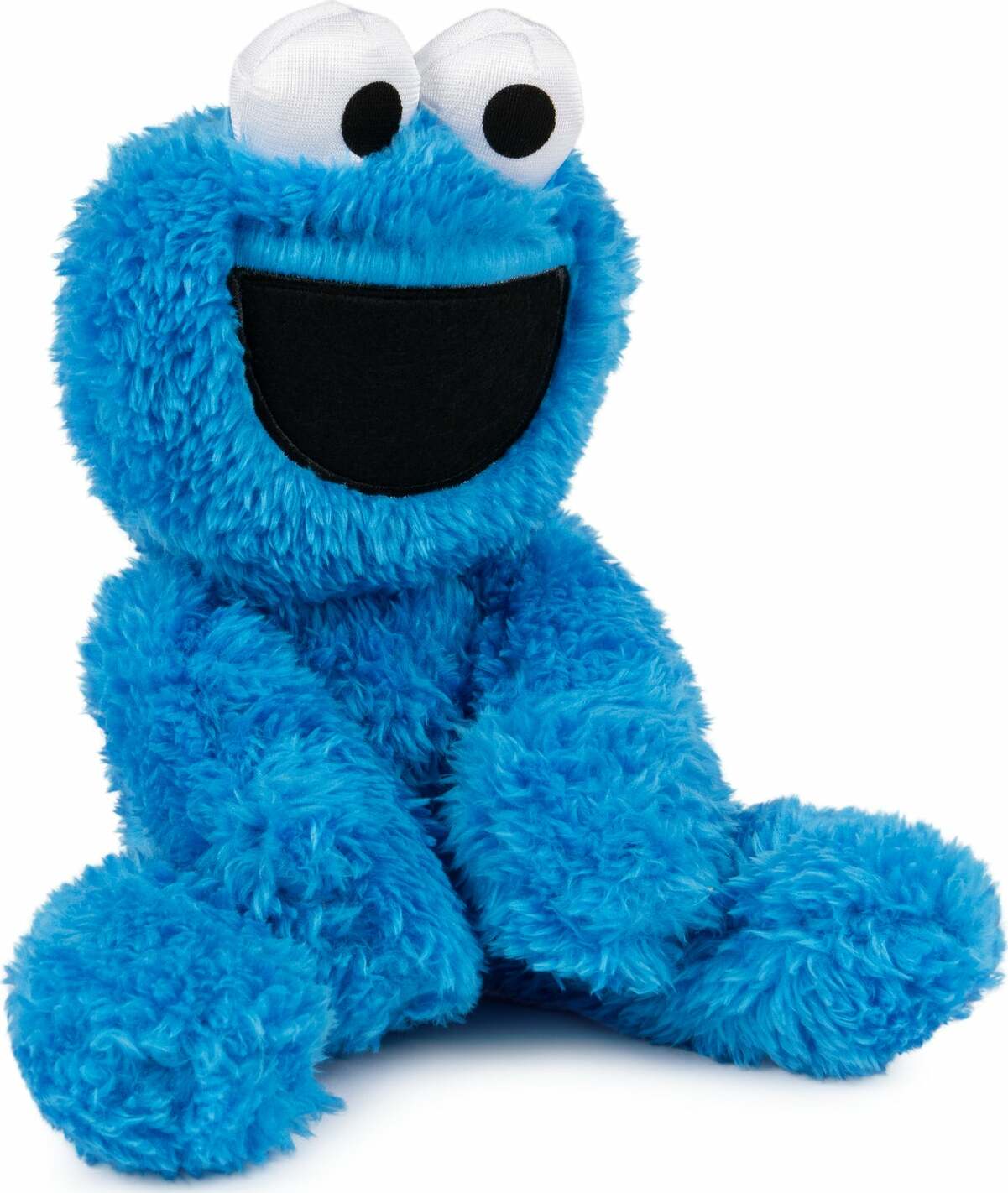 Sesame Street Cookie Monster Take Along Buddy, 13 In