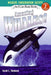Amazing Whales!