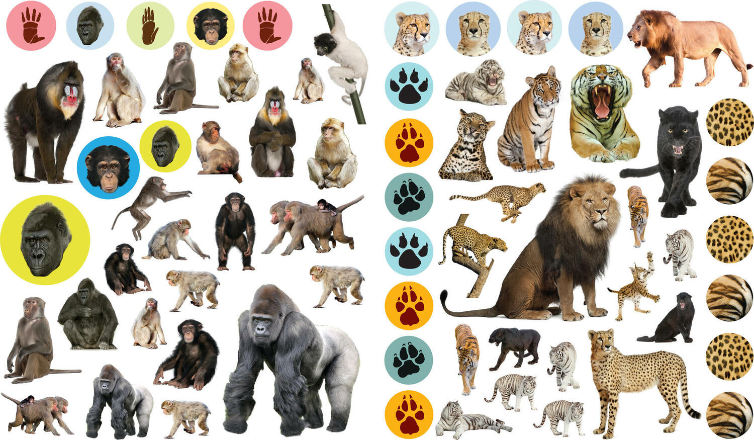 Eyelike Stickers: Wild Animals