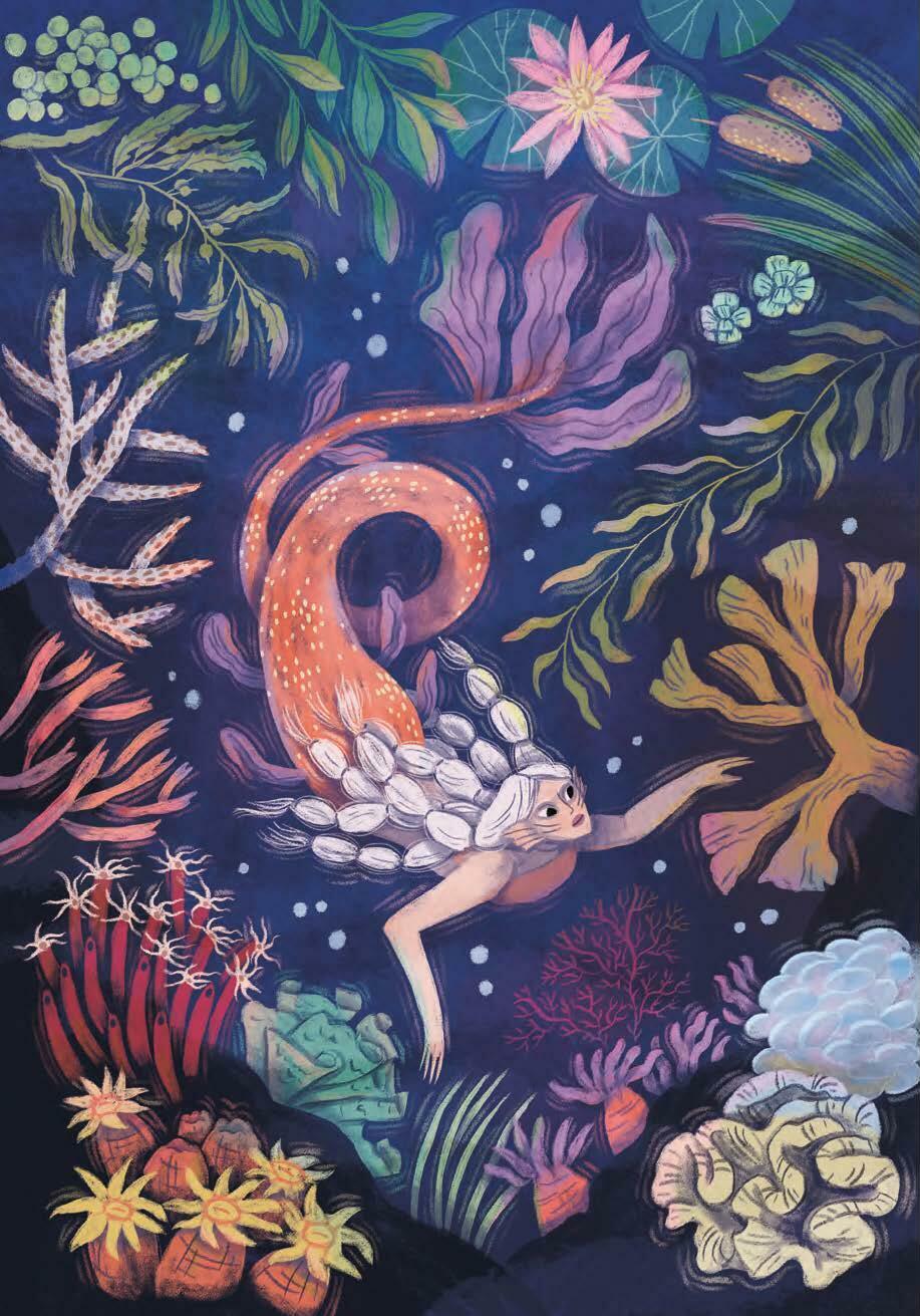 How to Spot a Mermaid: A Field Guide to Magical Sea People