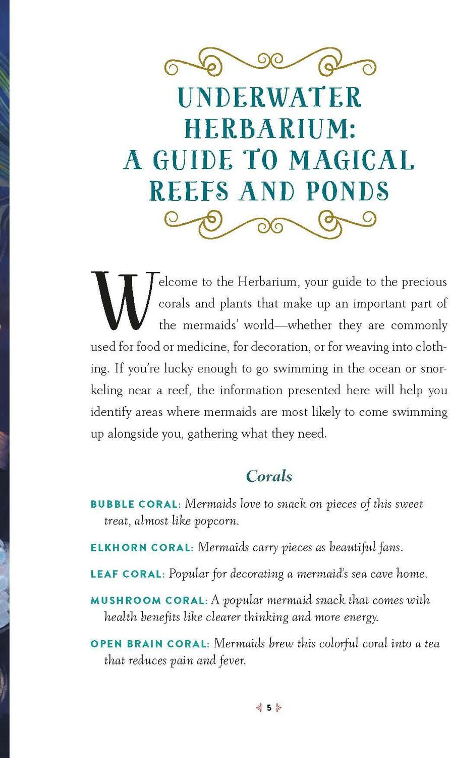 How to Spot a Mermaid: A Field Guide to Magical Sea People