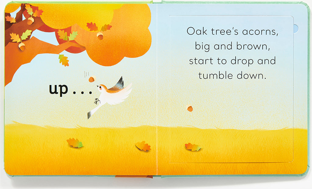 In the Tree: A Magic Flaps Book