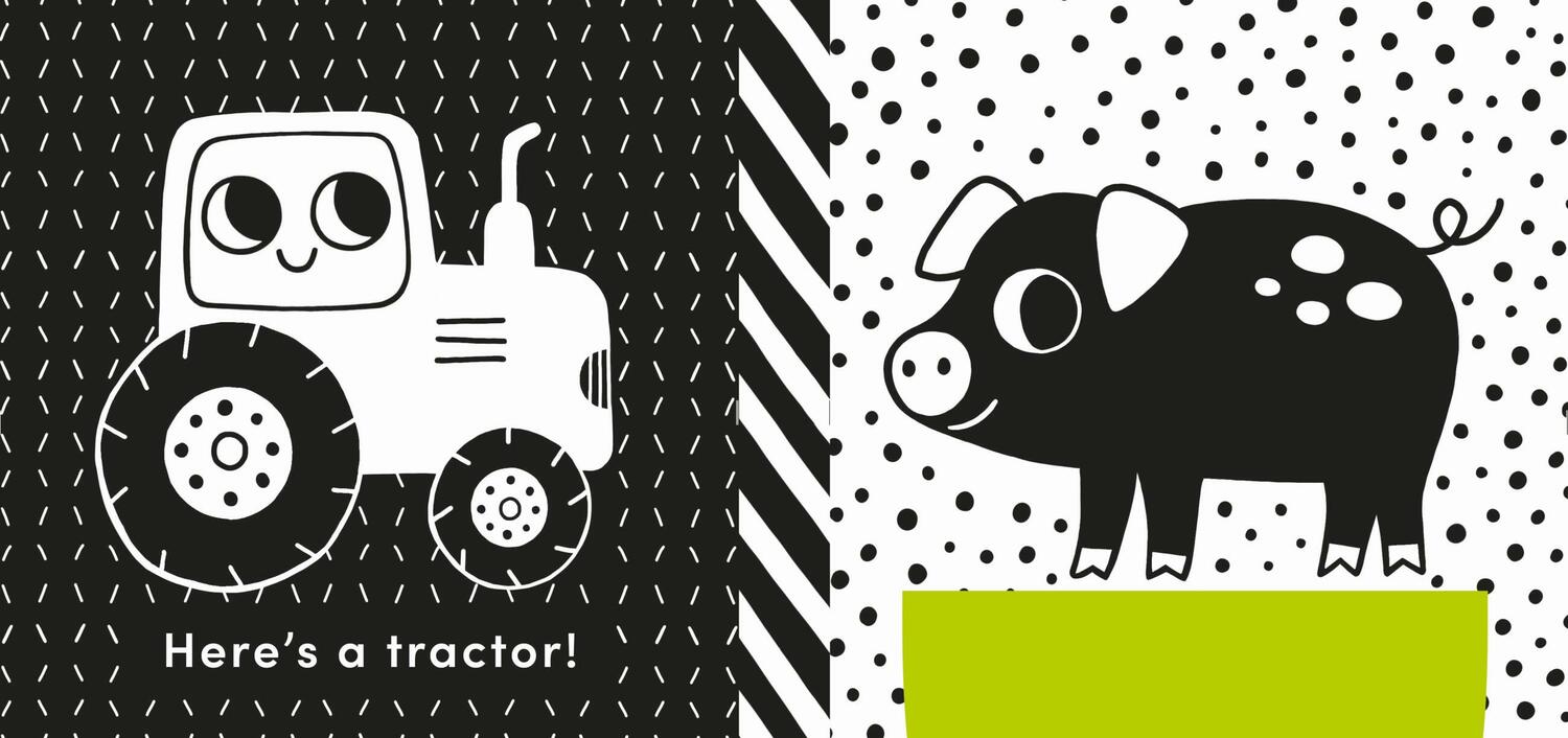 Baby's First Cloth Book: Cuddly Sheep