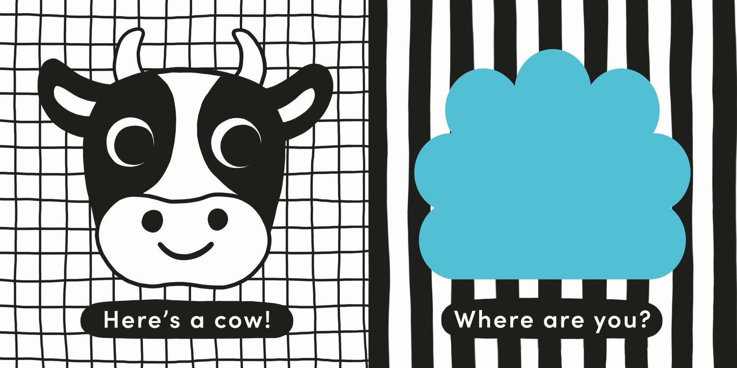 Baby's First Cloth Book: Cuddly Sheep