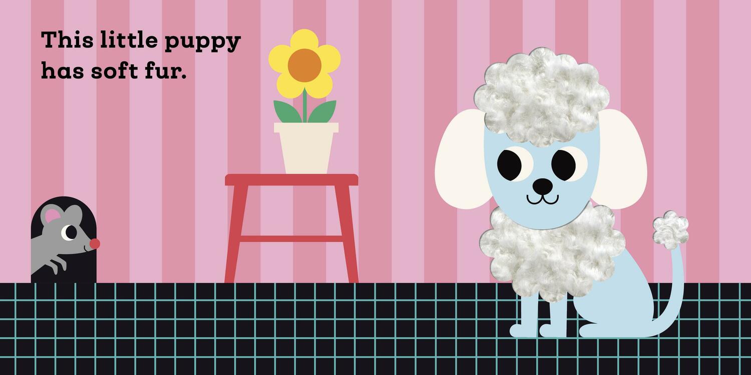 This Little Puppy: A Touch and Feel Book