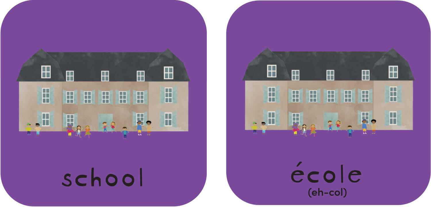 Minilingo French / English Bilingual Flashcards: Bilingual memory game with French & English cards